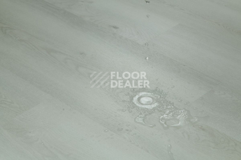 Tarkett Funky House JACK фото 10 | FLOORDEALER